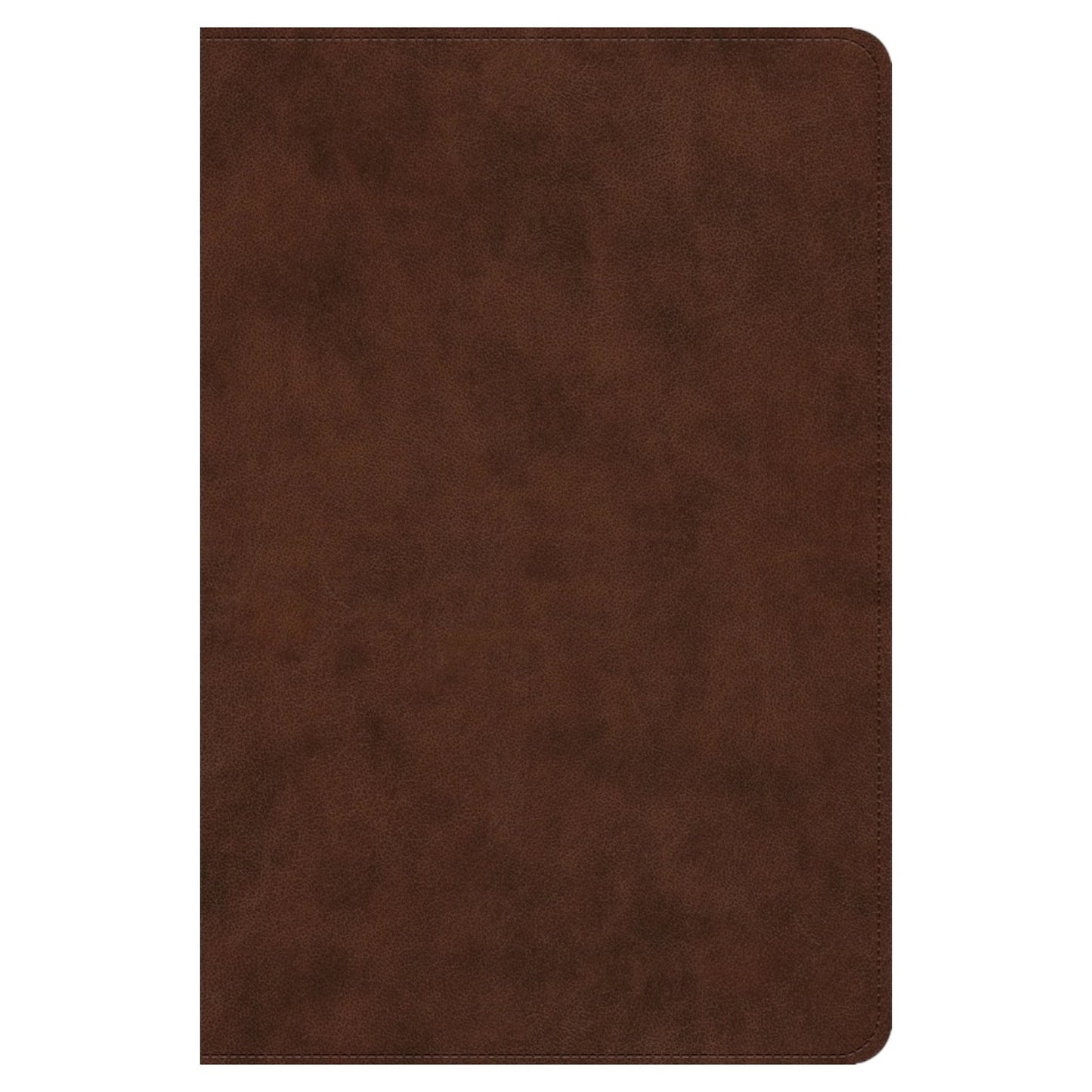 ESV Holy Bible in Brown (Dyslexia-Friendly)