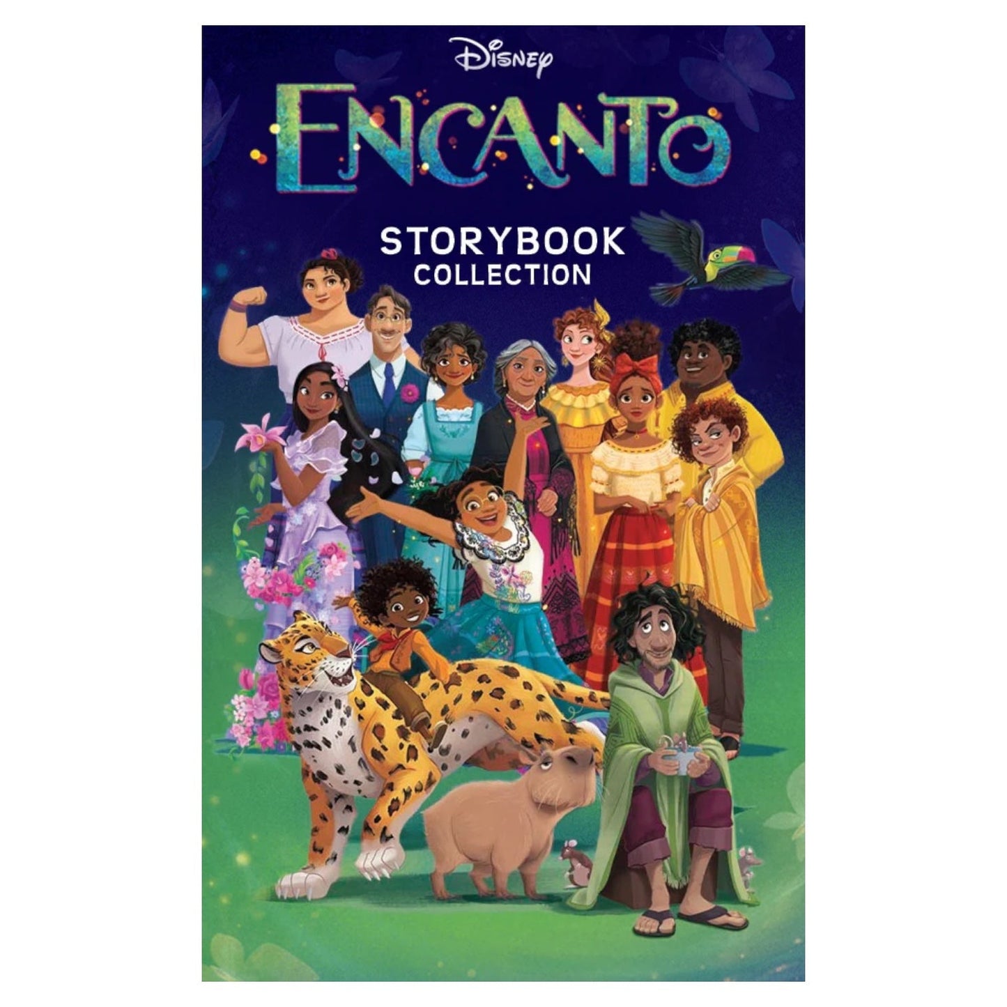 Disney: Encanto Storybook Collection (Yoto Card)